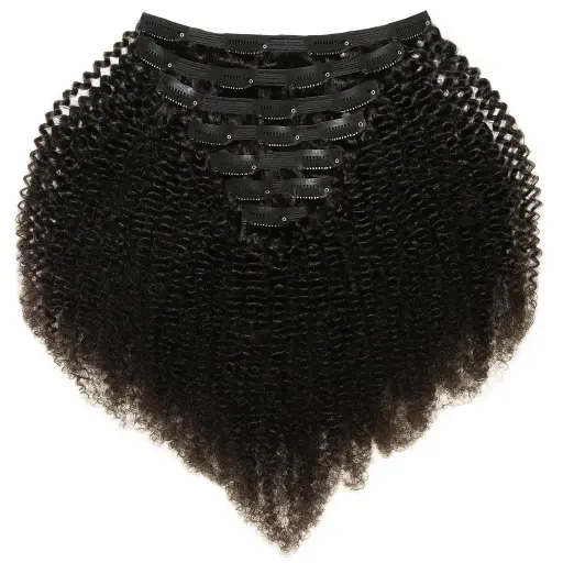 Afro Kinky Clip-in Extensions